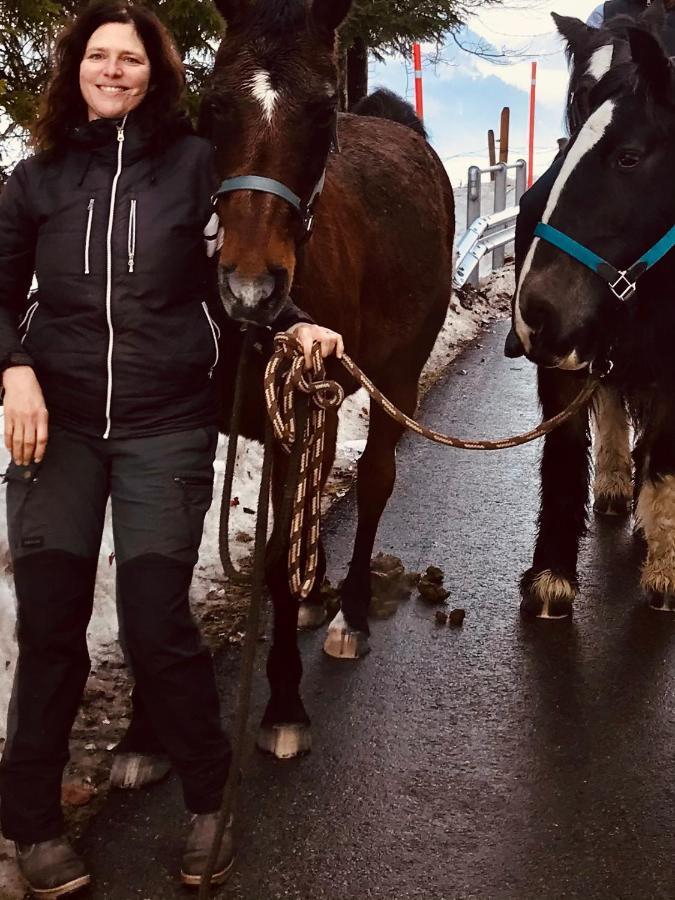 Au Pre Des Chevaux Bed & Breakfast Шато-д'О Екстериор снимка