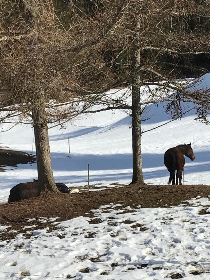 Au Pre Des Chevaux Bed & Breakfast Шато-д'О Екстериор снимка