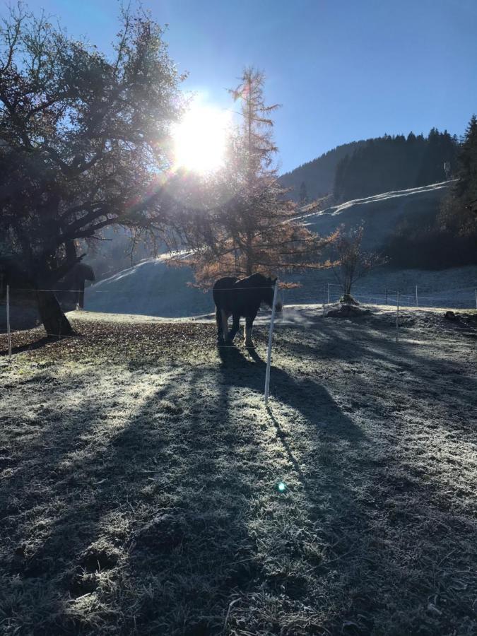 Au Pre Des Chevaux Bed & Breakfast Шато-д'О Екстериор снимка